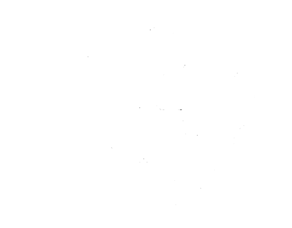 Les Bisons Besançon